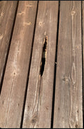 Deck Repair starting at $ 70