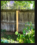 Fence repair starting at $30