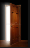 Basic int/ect door installation starting $130